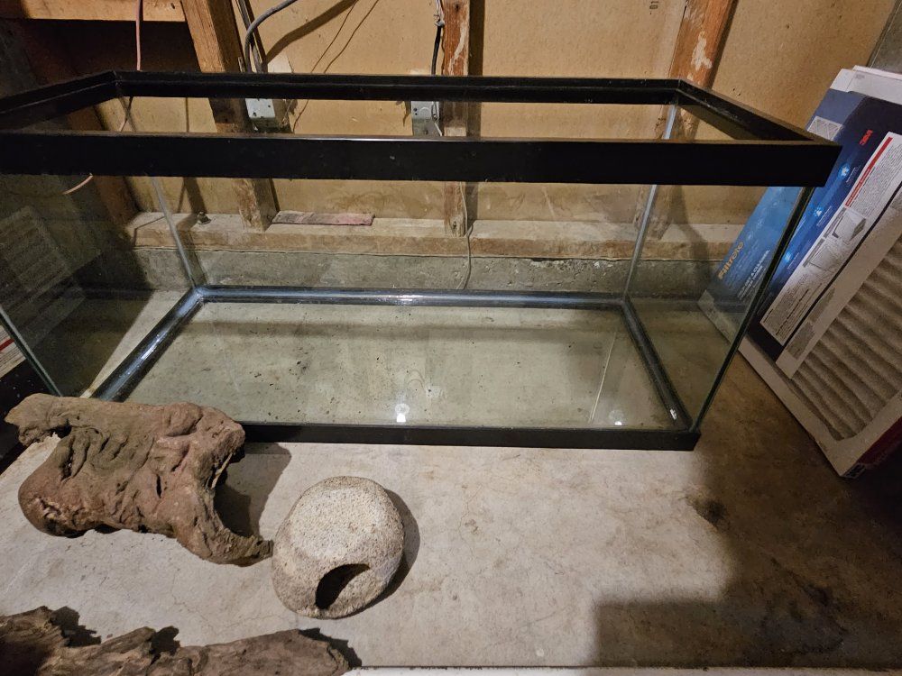 Main image 7