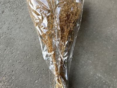 Two Bundles of Dried Babies Breath Flowers