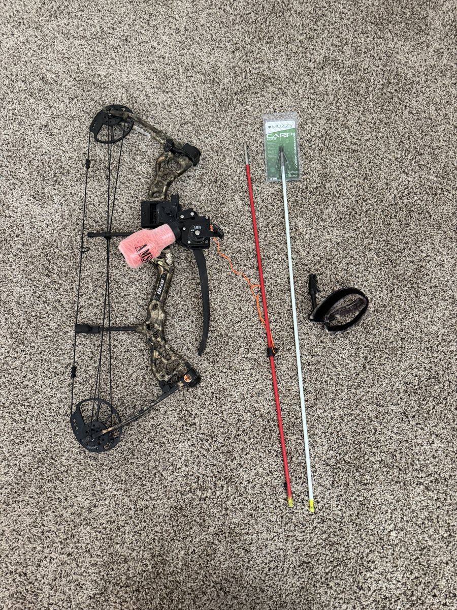 Bear Bow with AMS bow fishing reel
