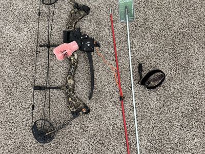 Bear Bow with AMS bow fishing reel