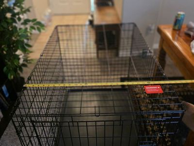Dog kennel