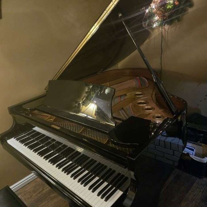 Hallet Davis Grand Piano