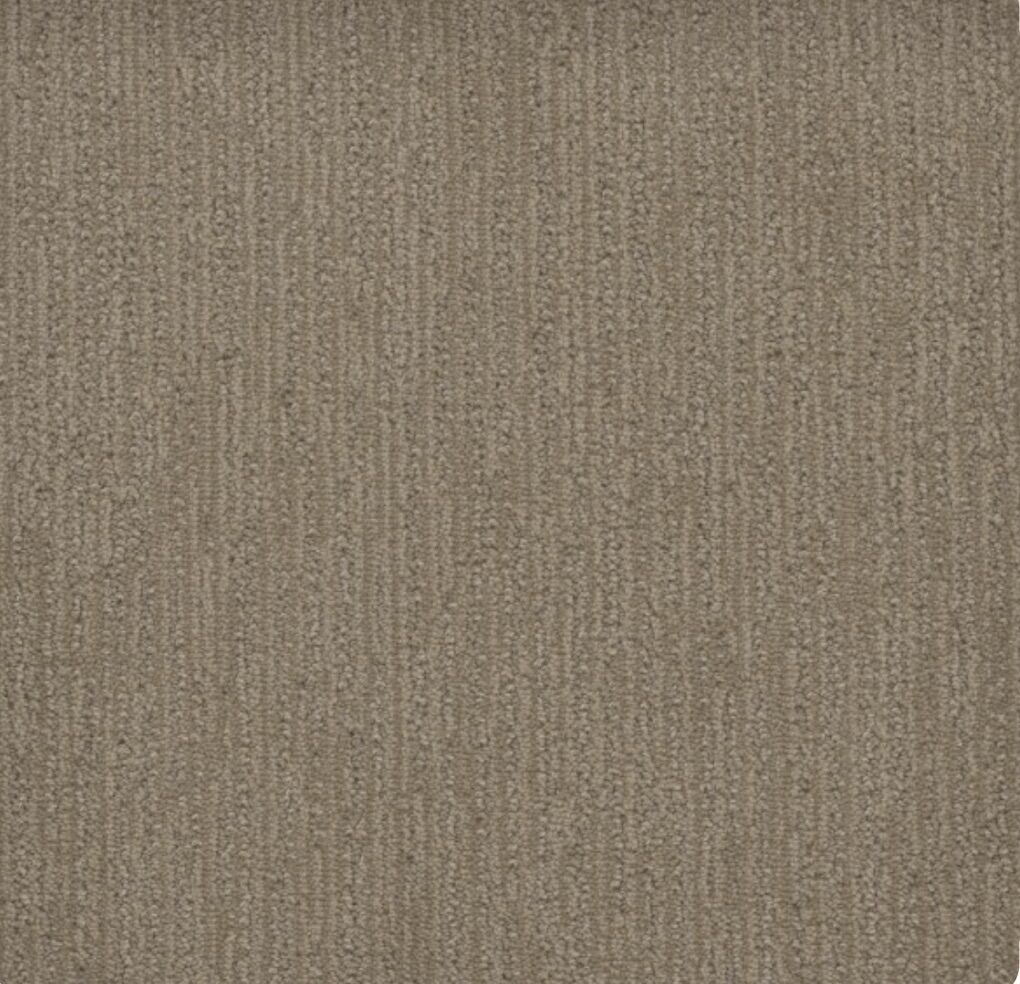 Surfside Almond Bark Carpet (Discounted) 307 sq Ft