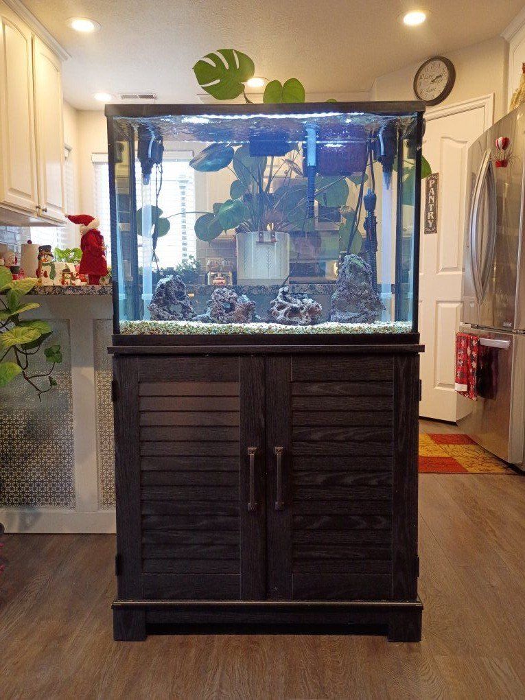37 Gal Aquarium with Stand