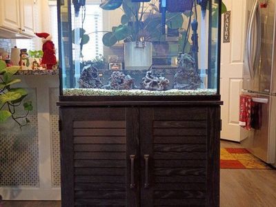 37 Gal Aquarium with Stand