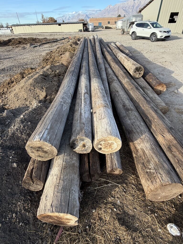 Telephone Poles