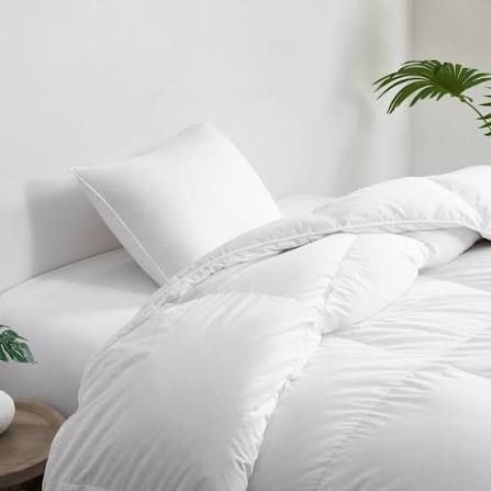Stearns and Foster Luxurious 800 Fill Power White Goose Down Pillow, Standard/Queen 1873739  #106880