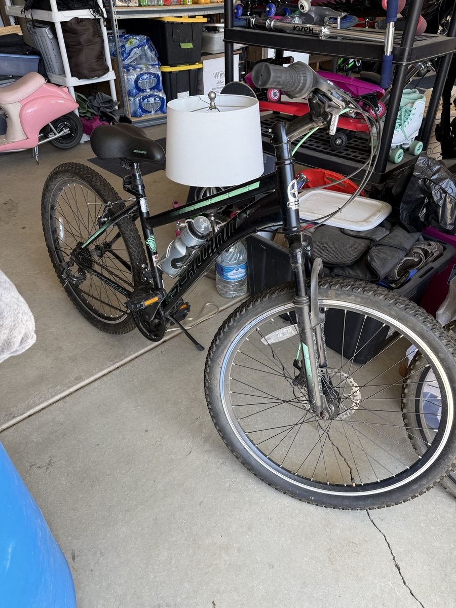 Schwinn mountain bike