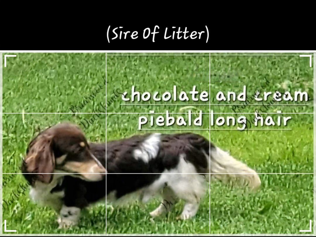 Main image 6