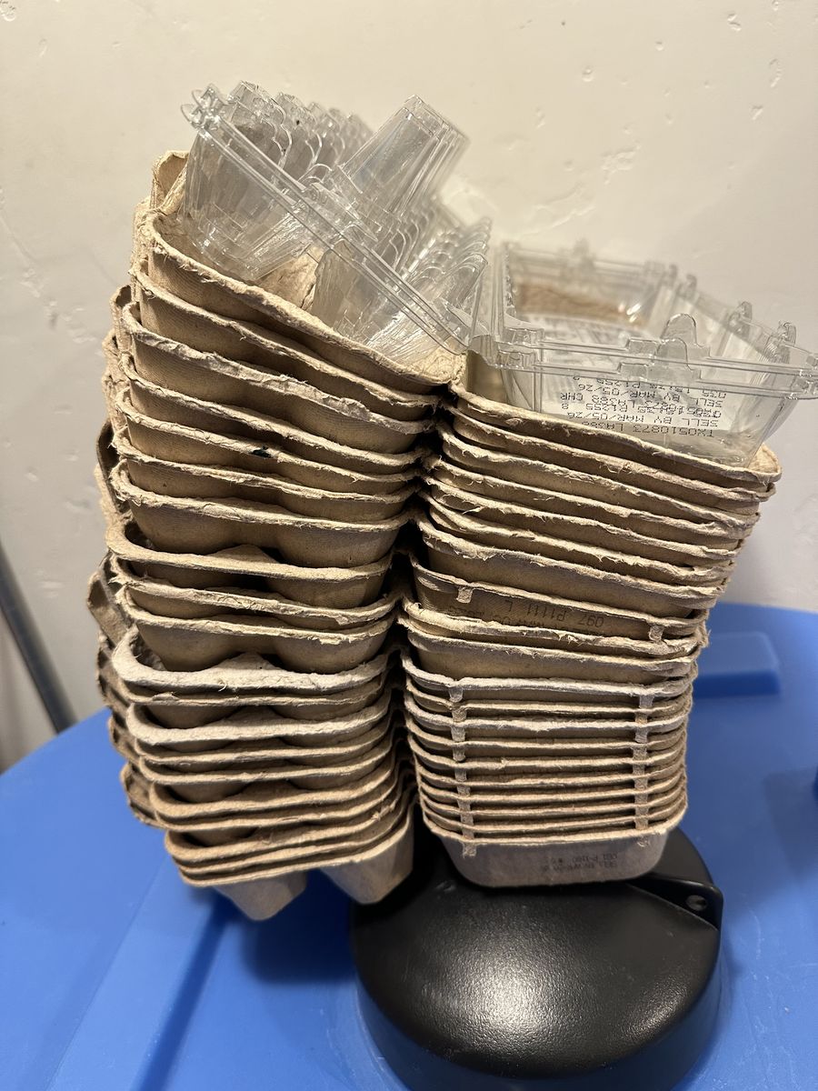 20 Clean Empty Paper Egg Cartons - 2 bonus plastic cartons - 22 total