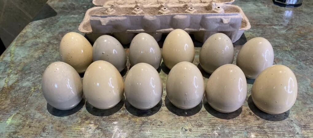 Chicken Nesting eggs