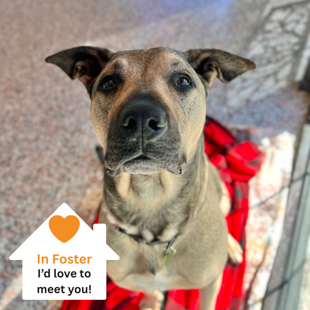 Hello my name is Poblano