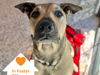 Hello my name is Poblano