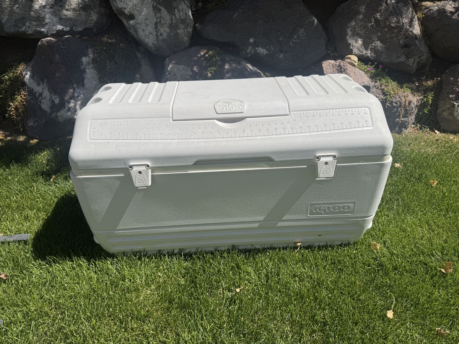 Large 150qt Cooler