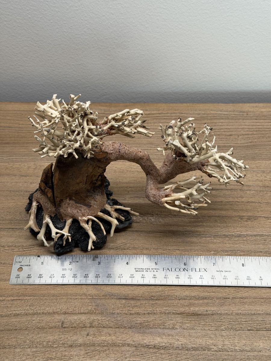 Main image 2