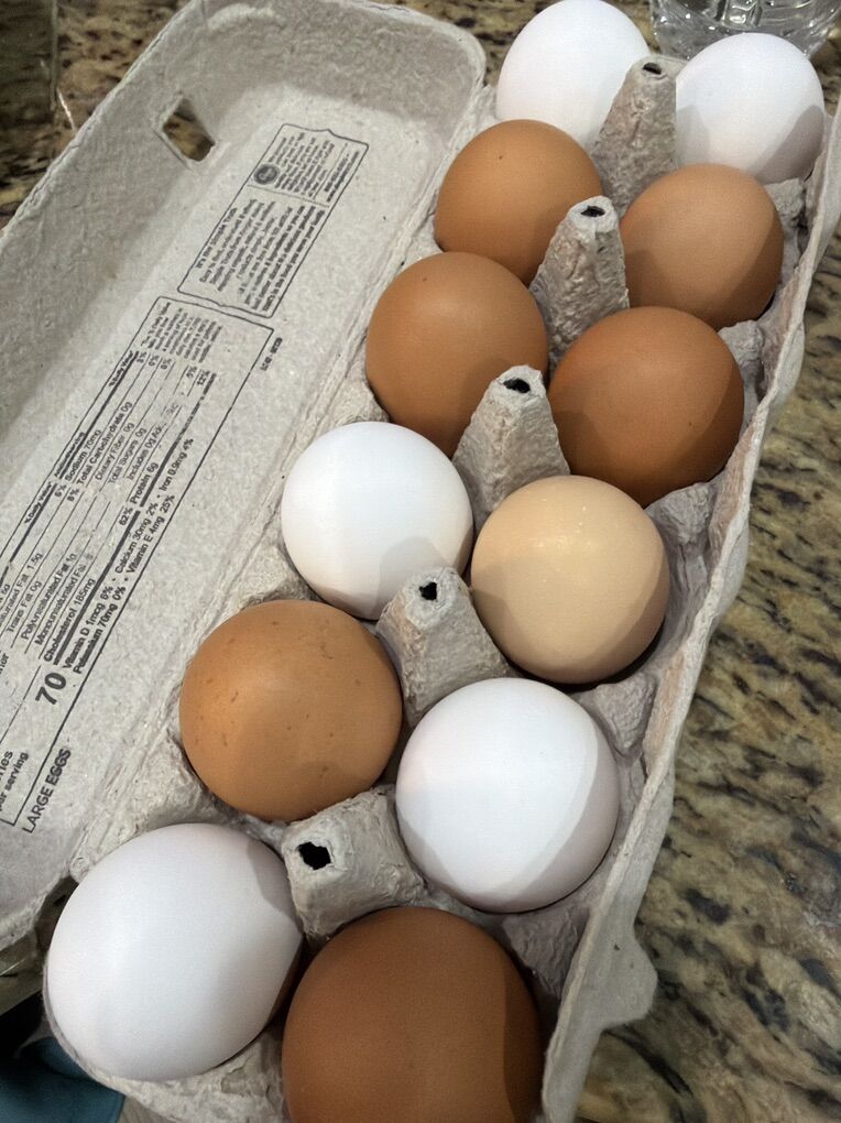 Farm Cage Free Chicken Eggs