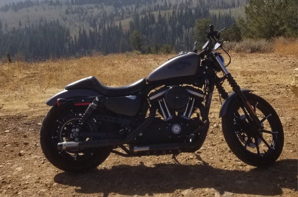 2016 Harley Sportster Iron 883