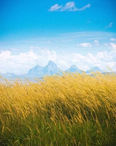 2.5 acre lots in Rexburg Idaho (discounted)