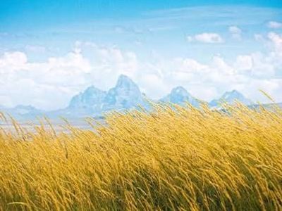 2.5 acre lots in Rexburg Idaho (discounted)