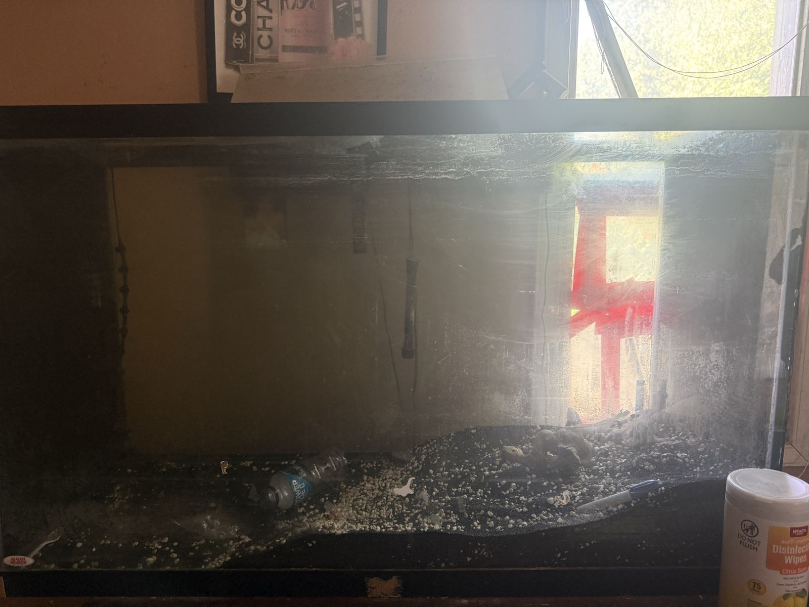 Big fish tank