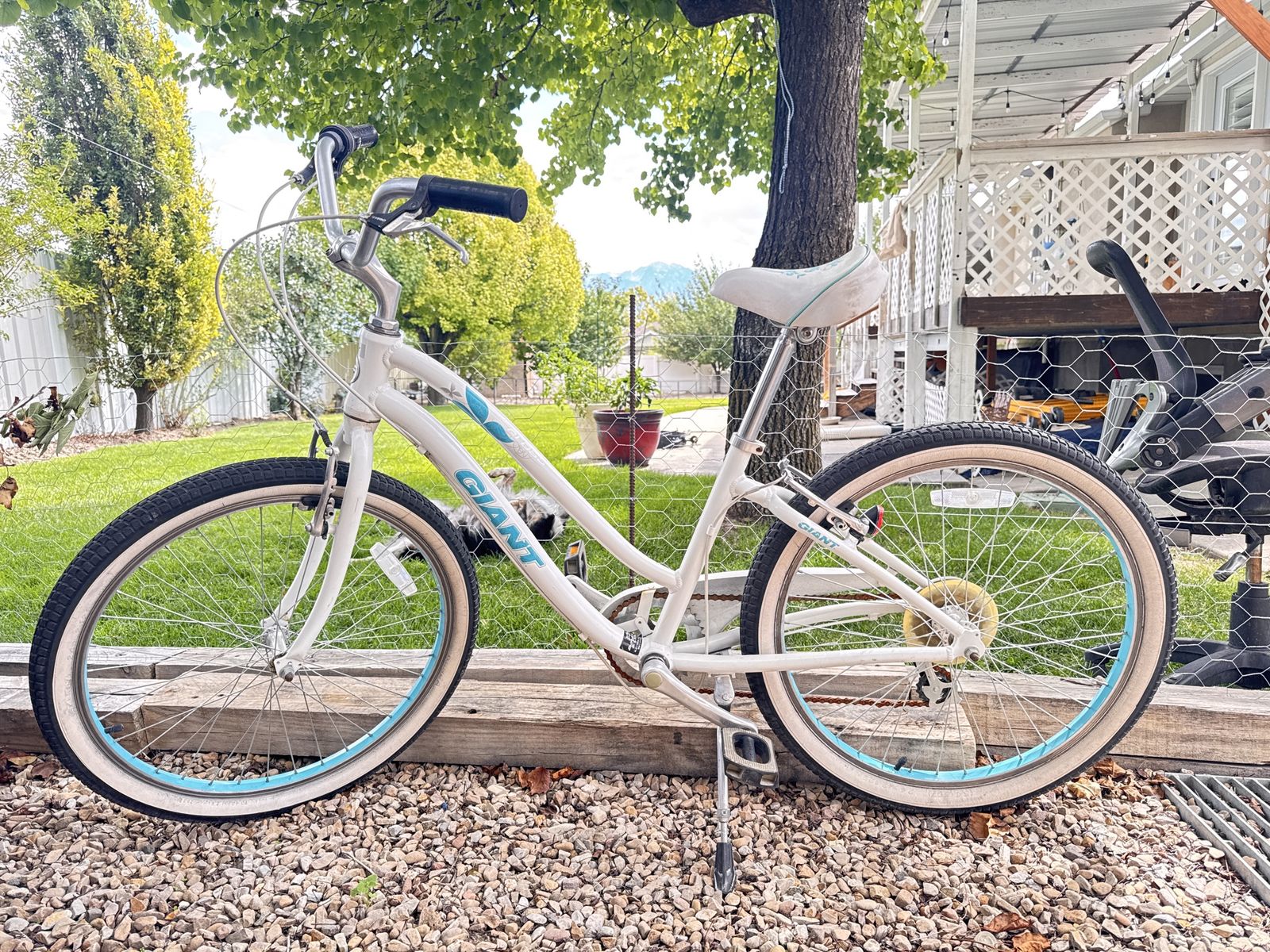Giant White Comfort Cruiser Bike with Blue Accents