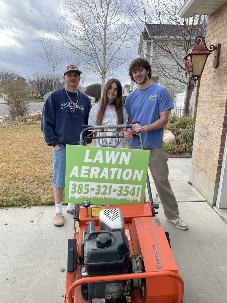 Lawn Aeration