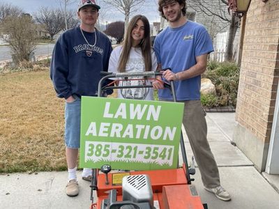Lawn Aeration