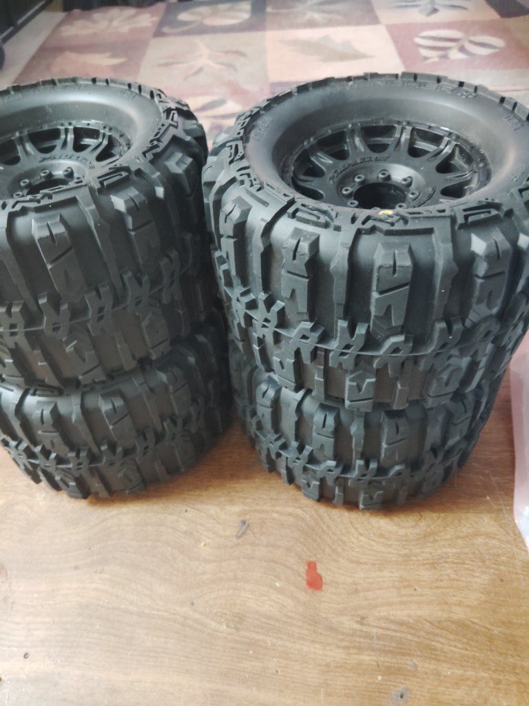 3.8 17mm belted proline trenchers