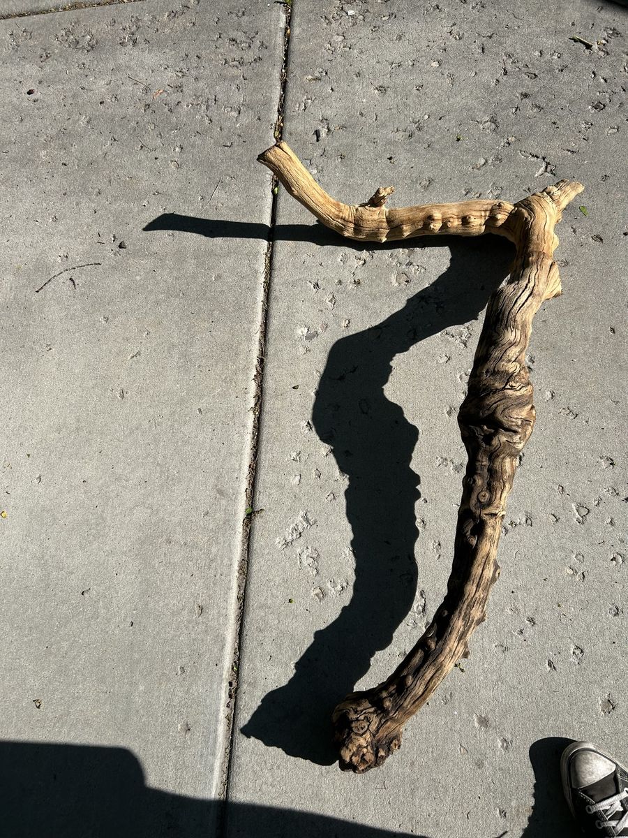 Reptile wood