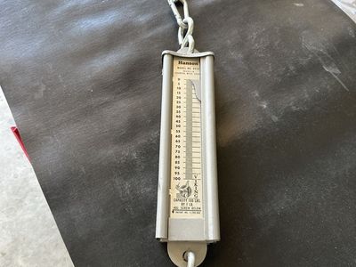 Hanson Model 8910 Viking 100lb Capacity Hanging Scale
