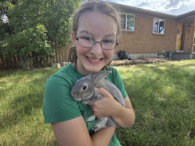 Lynx-colored mini rex buck