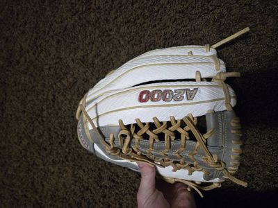 A2000 softball glove