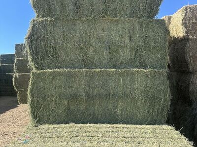 Livestock Hay