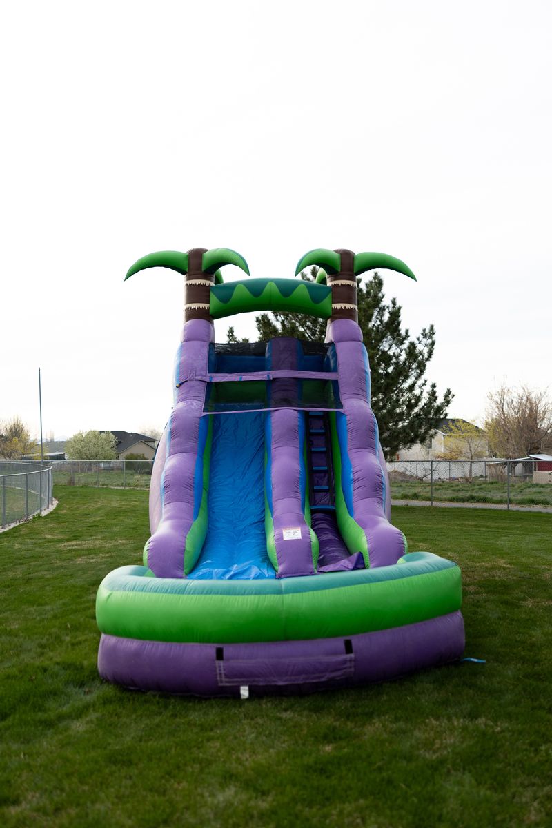 Purple Palm Plunge Water Slide