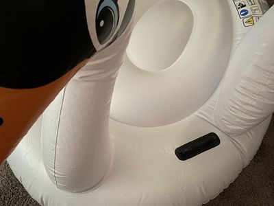 Large inflatable