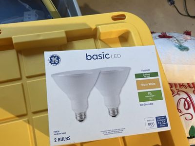 Floodlight bulb(s)
