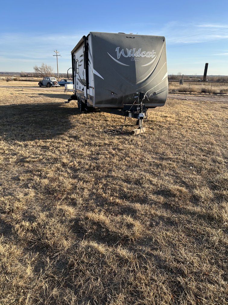 wildcat 24 ft