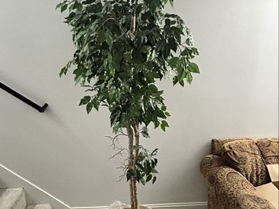 Artificial Ficus Tree in Wicker Basket - Realistic Faux Plant Decor