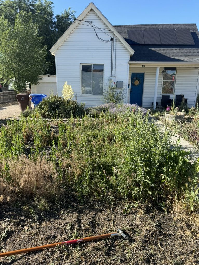 Weeds Removal 805-8164334