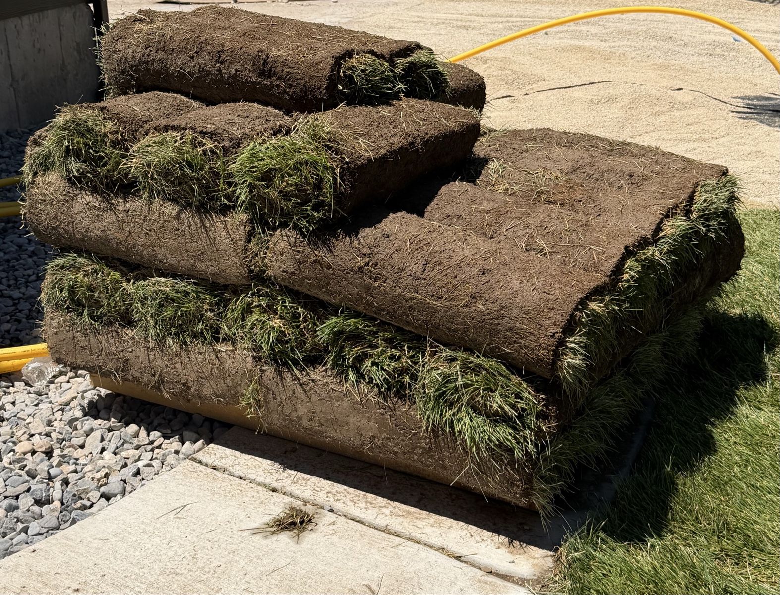 Fresh Kentucky Bluegrass Sod -1 Pallet- Ready for Installation