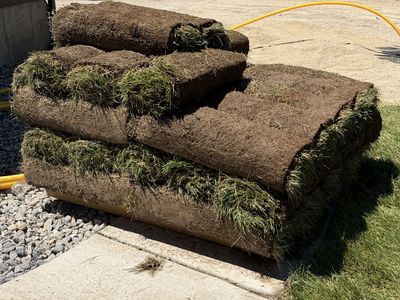 Fresh Kentucky Bluegrass Sod -1 Pallet- Ready for Installation