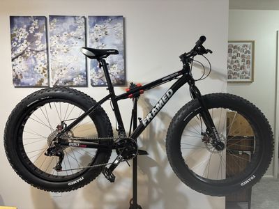 # UNIQUE FRAMED MINNESOTA 2.0 FAT BIKE