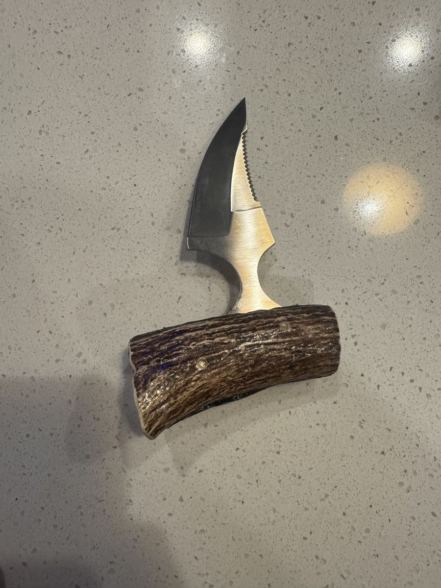 Shark tooth knife