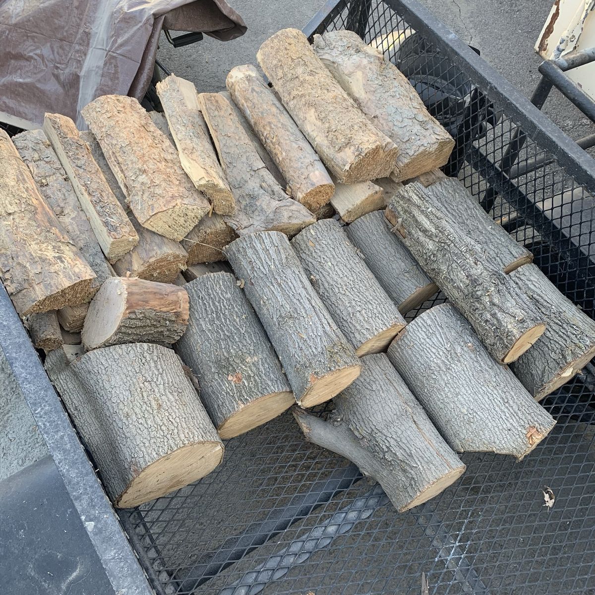 Firewood