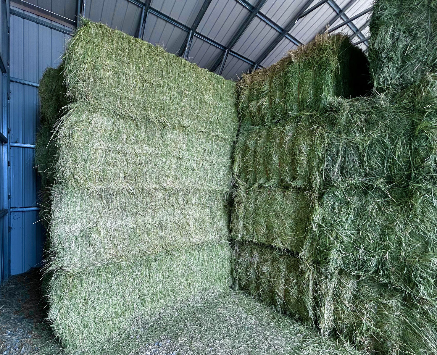 Quality Grass Hay - 3x4x8 Bales - Pickup or Delivery