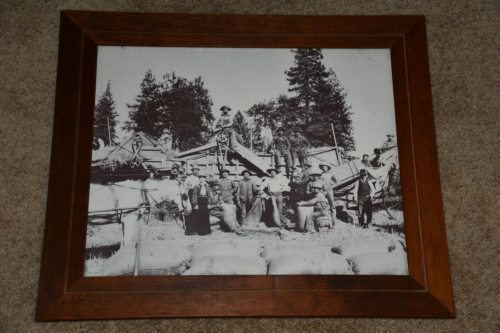 LARGE VINTAGE PHOTO ~ 20th CENTURY THRESHING OPERATION ~ 21" x 25" FRAMED