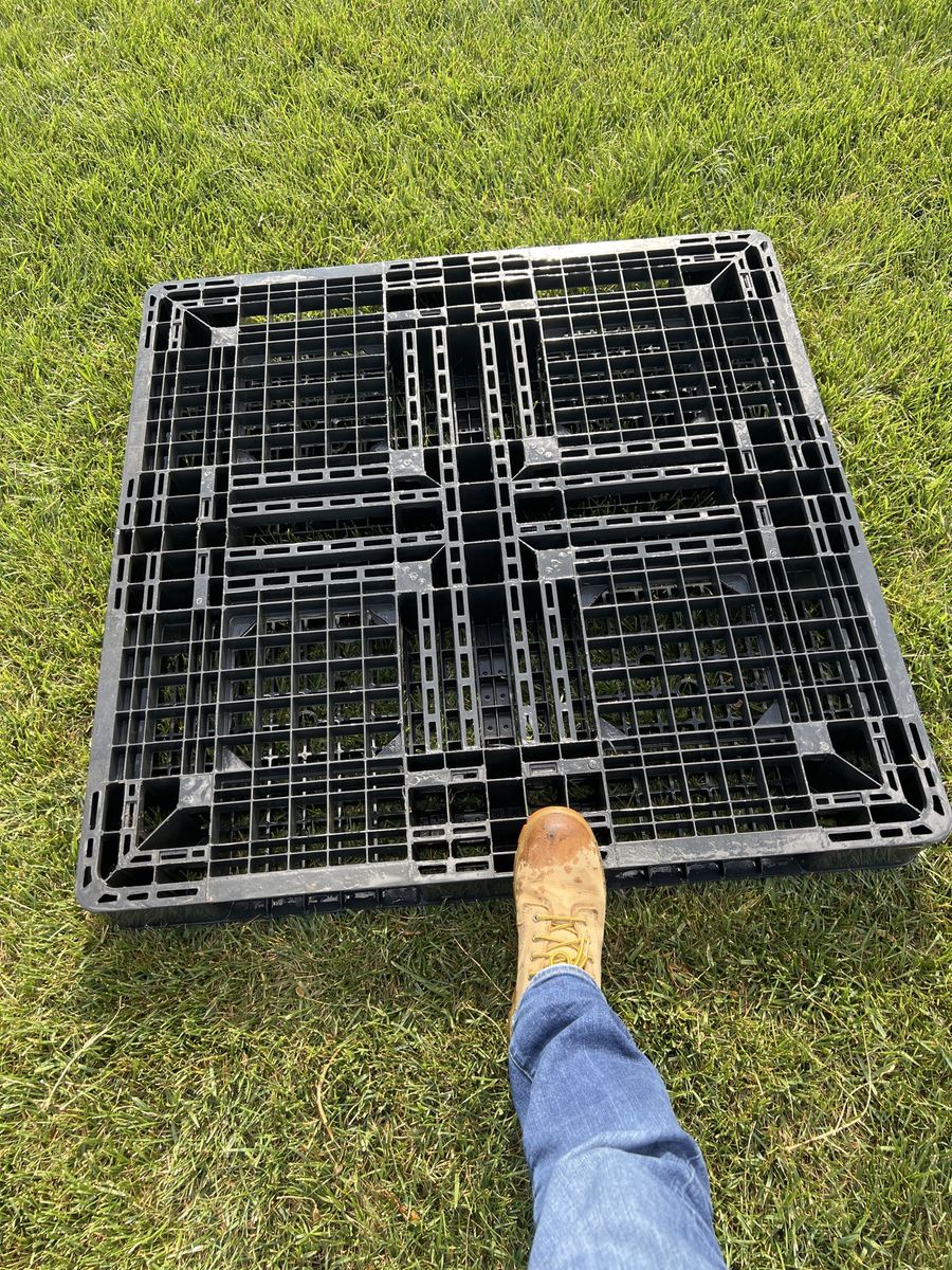 Pallets. 43” square. $2 each. Like new