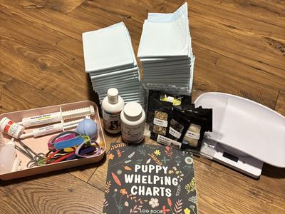 Complete Whelping Supply Bundle