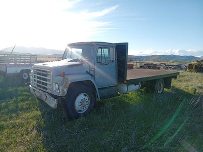 International Flatbed