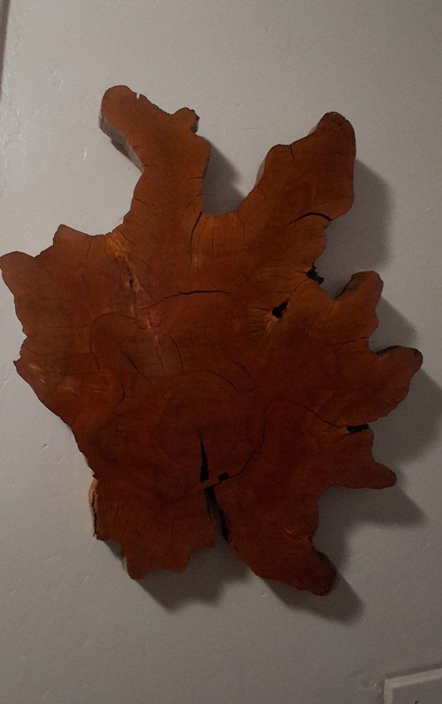 Live Edge Burl Slab